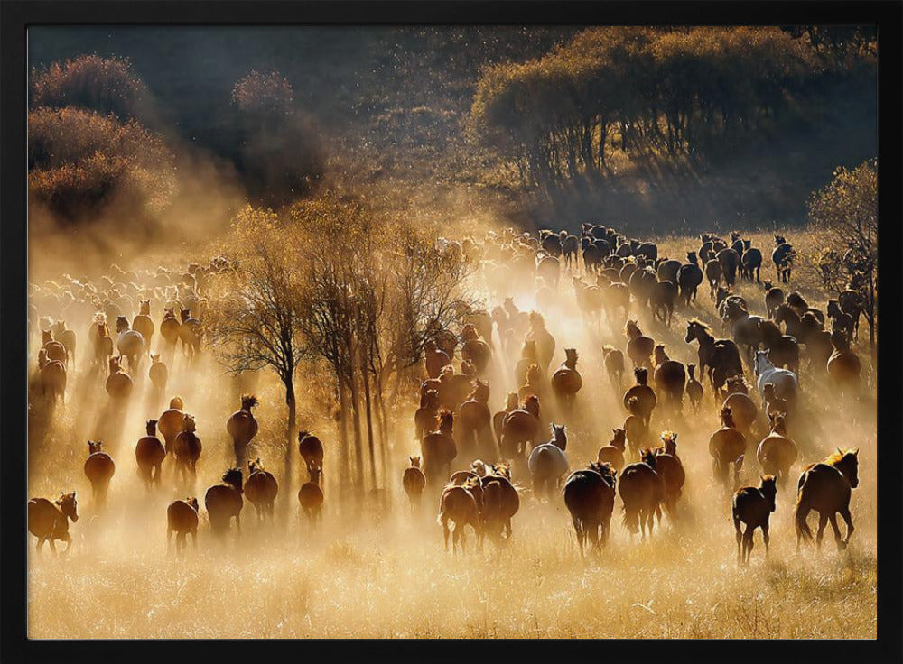 Horses | Poster