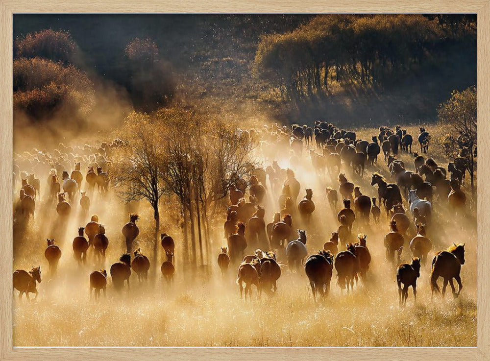 Horses | Poster