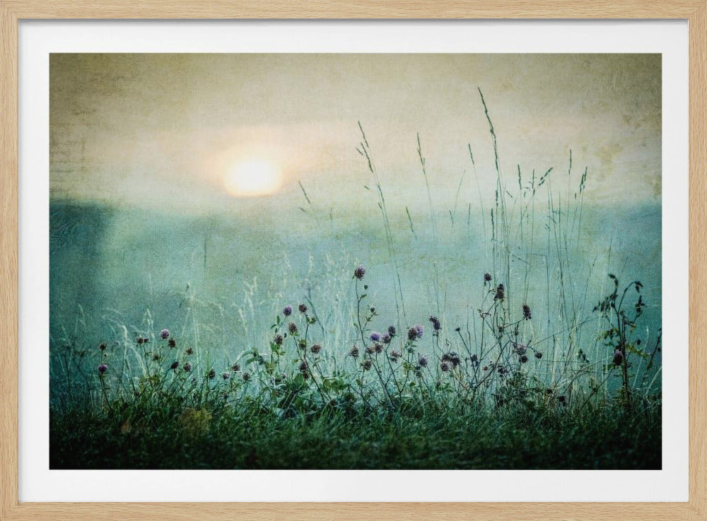 Autumn sunrise | Poster