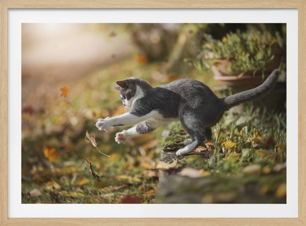 Autumn Play | Poster