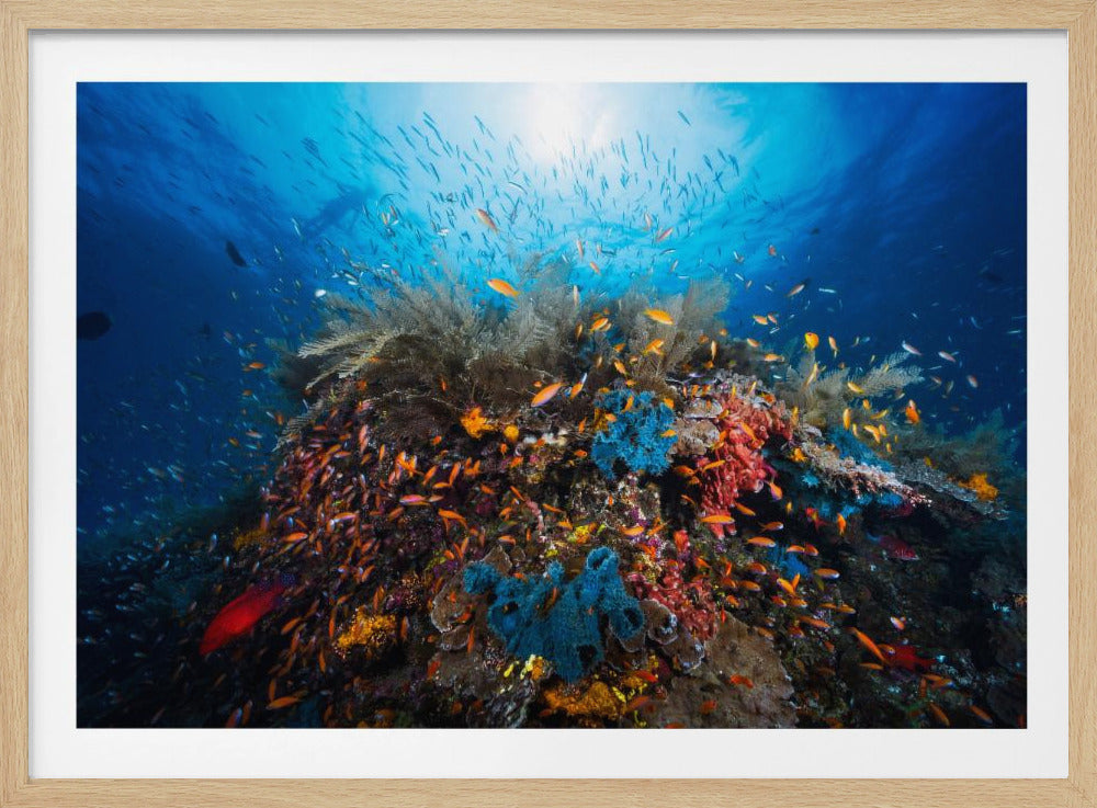 Apnea | Poster