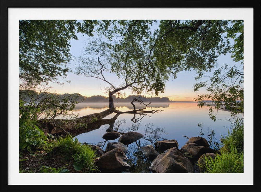 Lake view | Poster