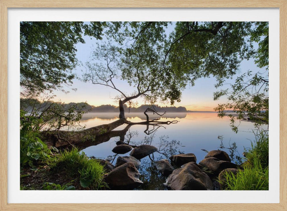 Lake view | Poster