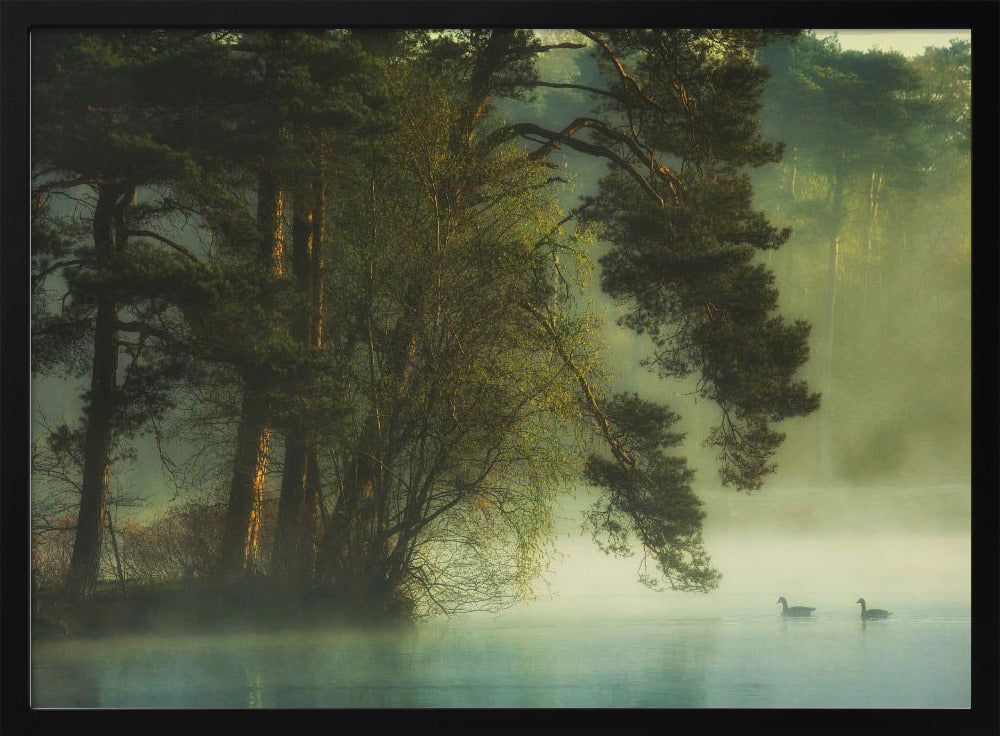 Dutch fen | Poster