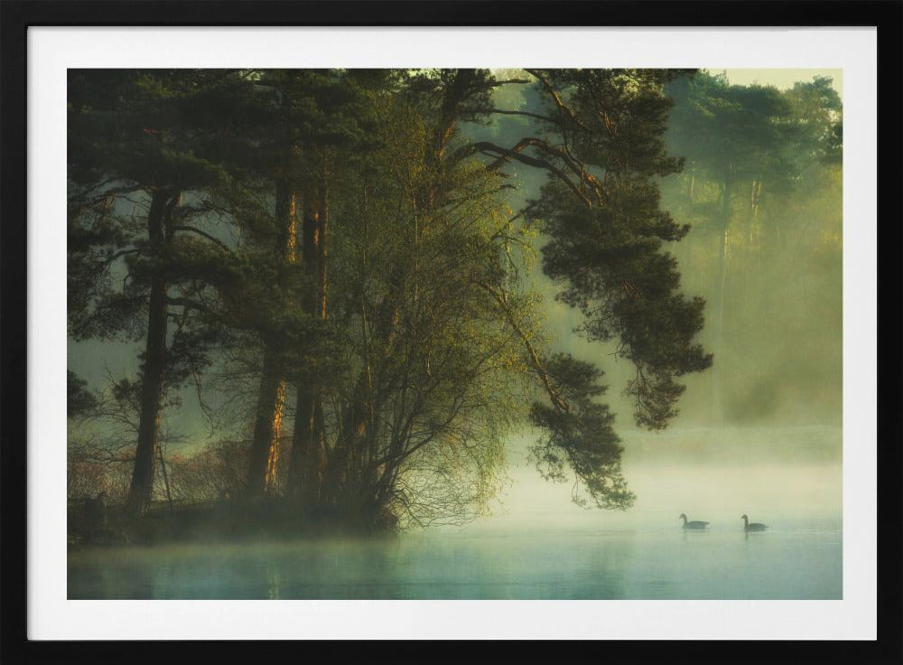 Dutch fen | Poster