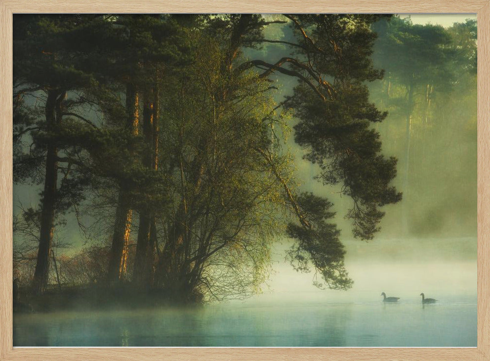 Dutch fen | Poster