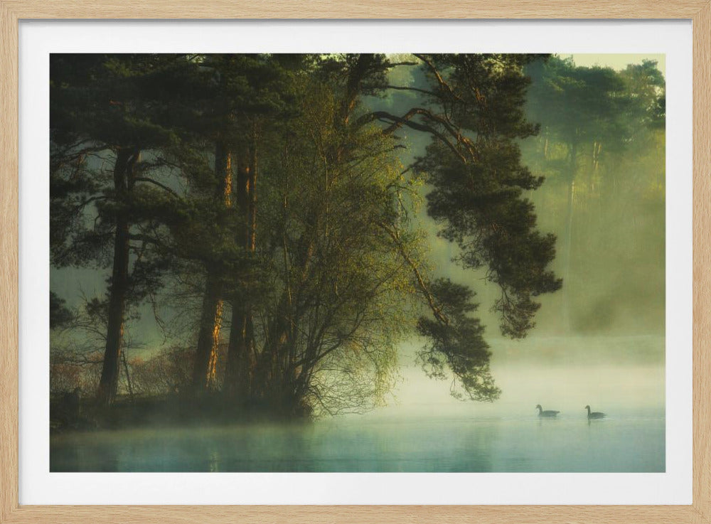 Dutch fen | Poster