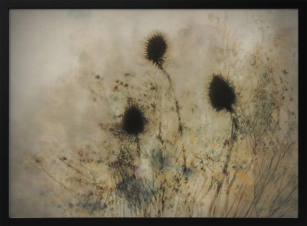 Seed boxes | Poster