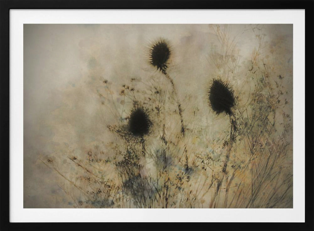 Seed boxes | Poster