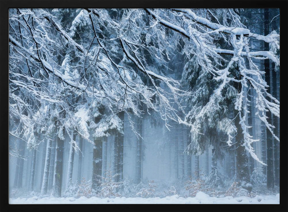 Snowworld | Poster