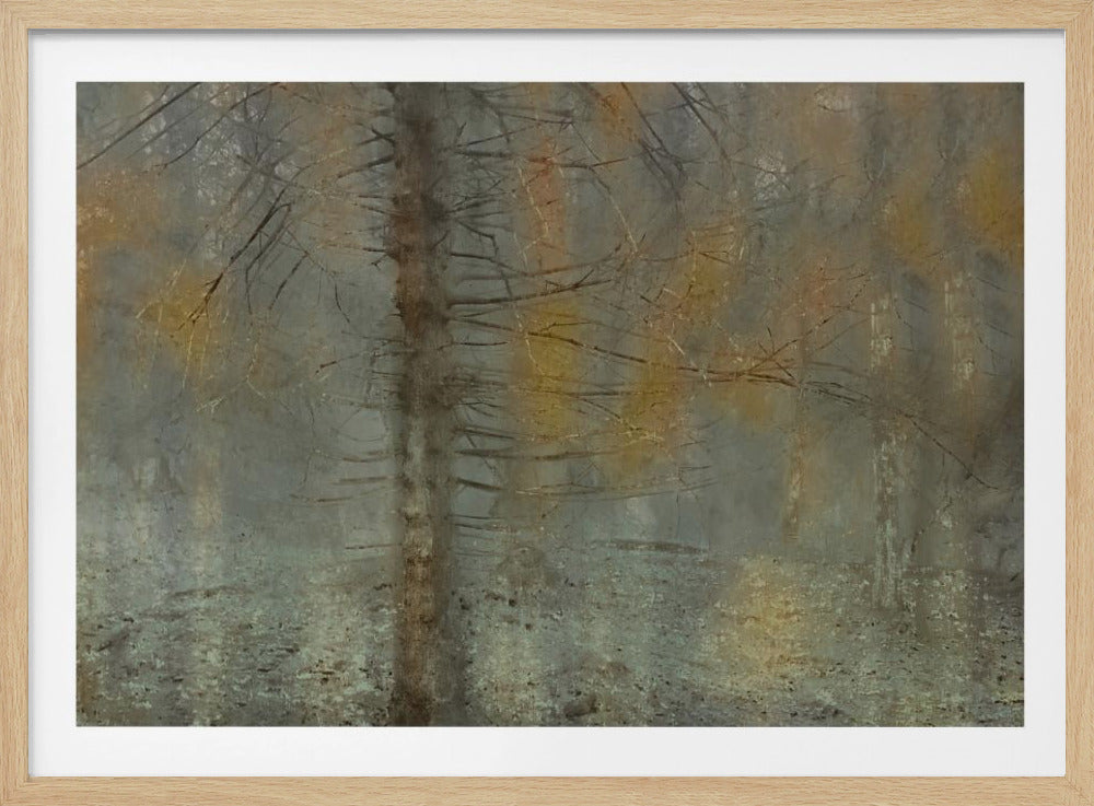 Pine tree | Poster