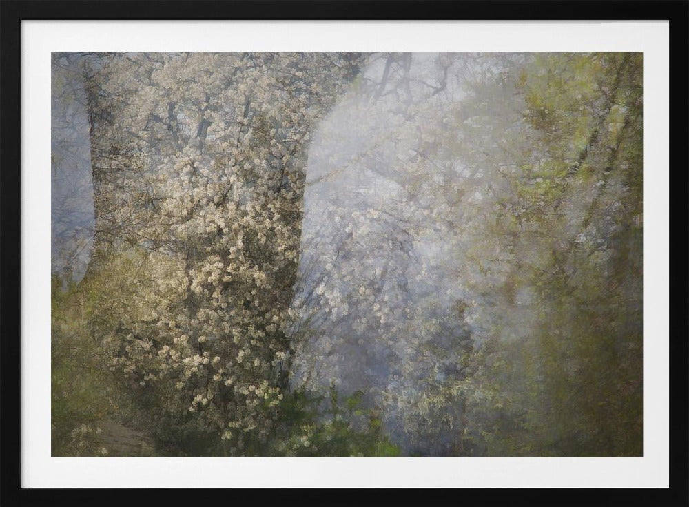 Blossom | Poster