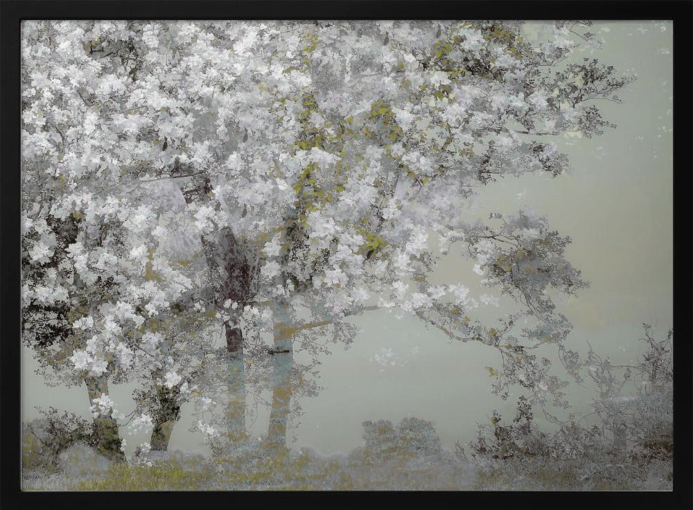 Spring | Poster