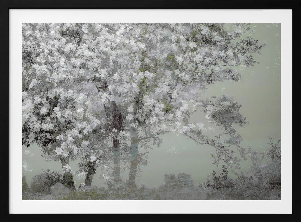 Spring | Poster
