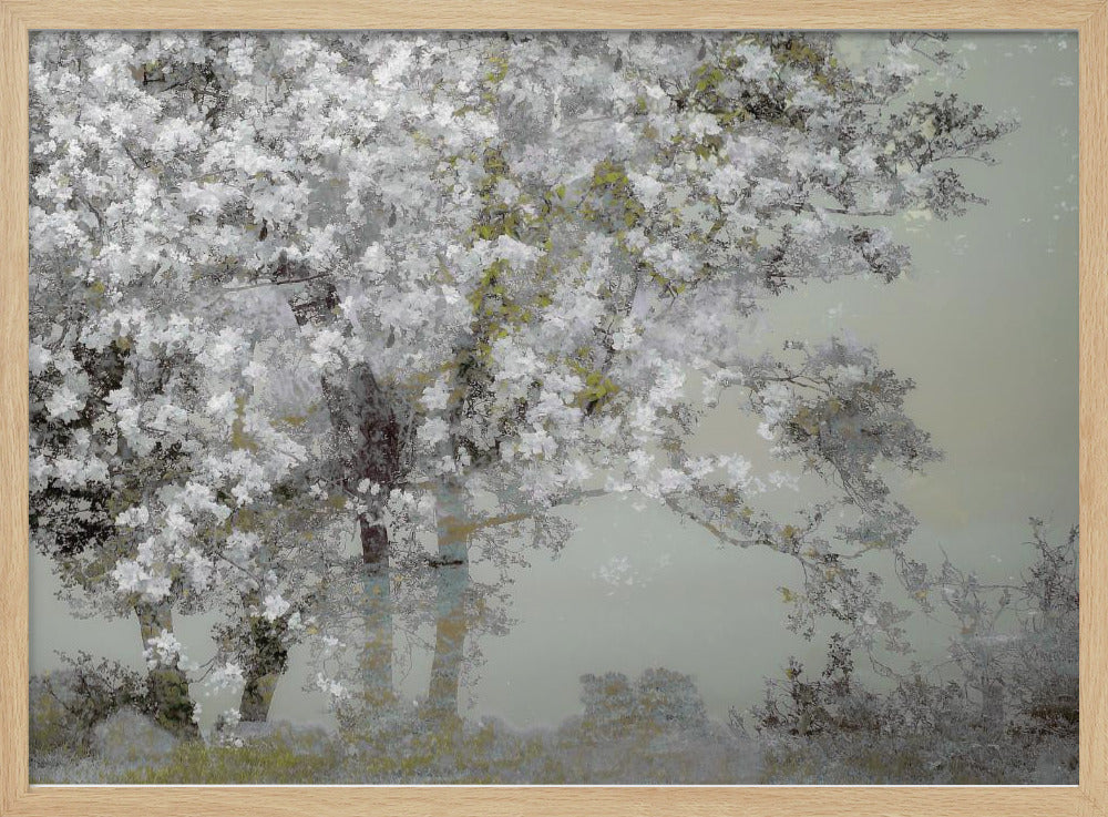 Spring | Poster