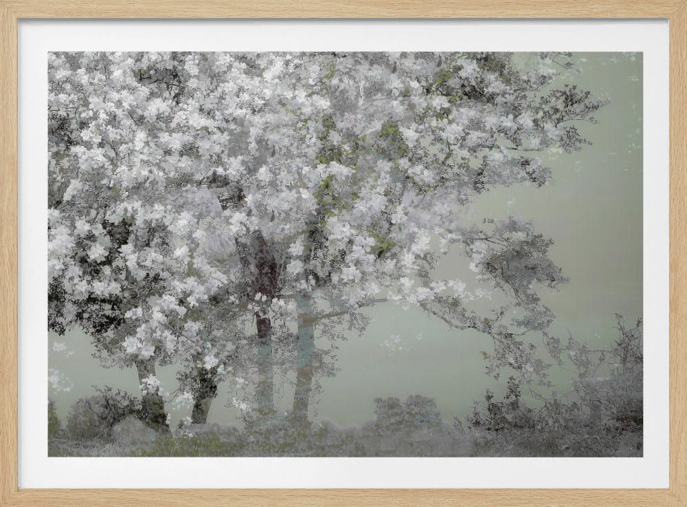 Spring | Poster