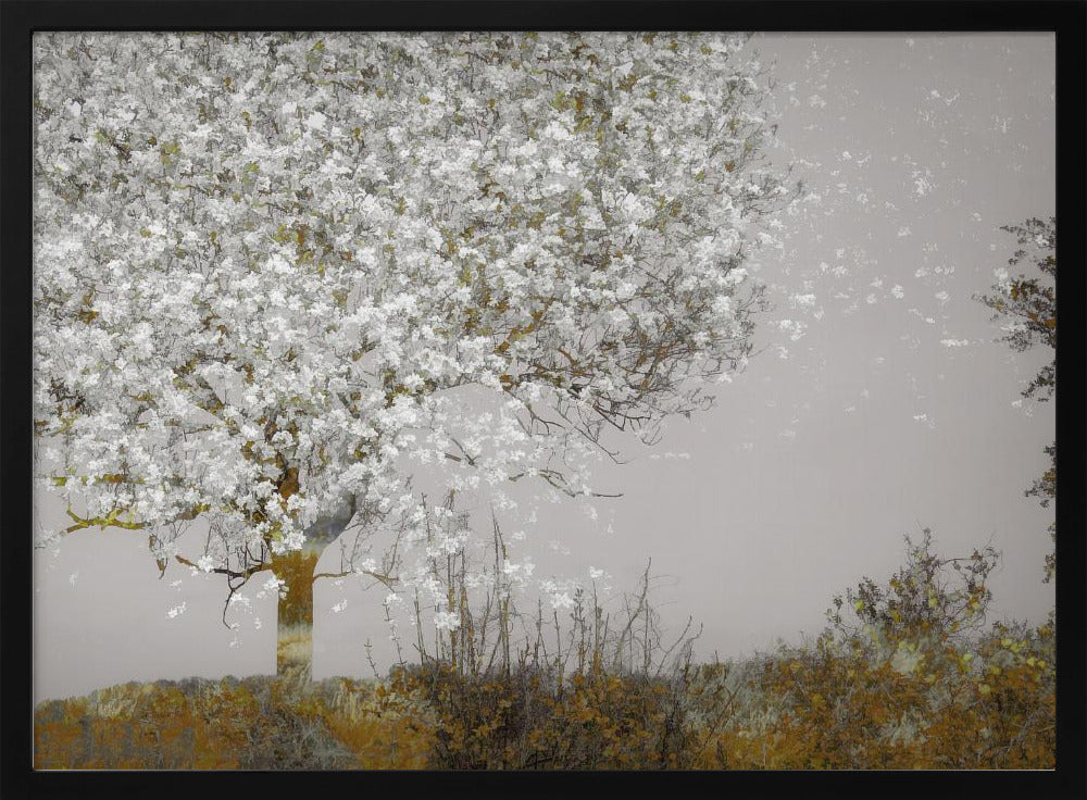Fruit tree | Poster