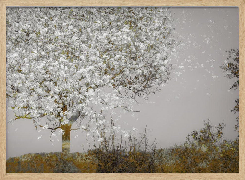 Fruit tree | Poster