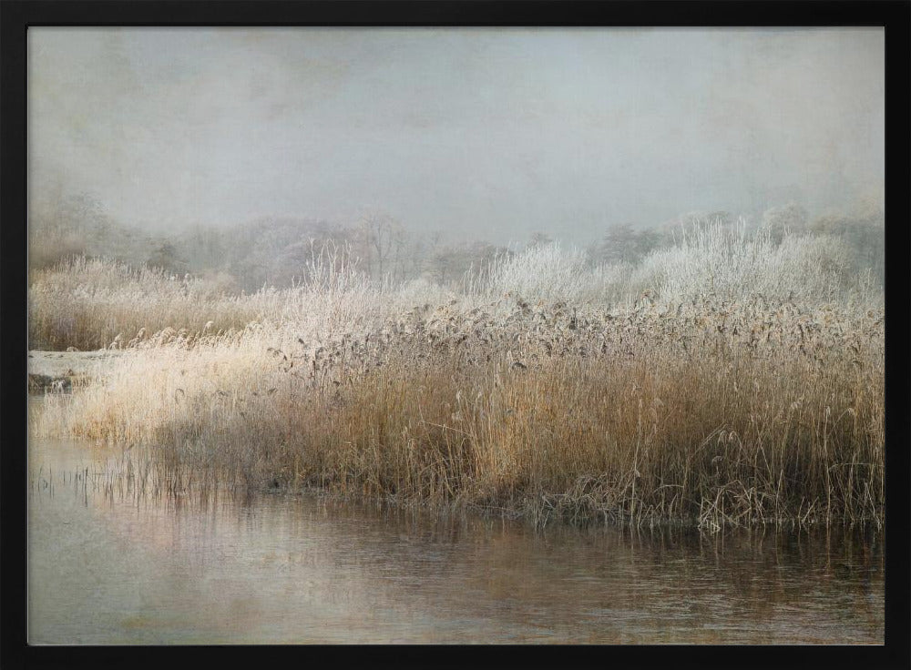 Wintermorning | Poster