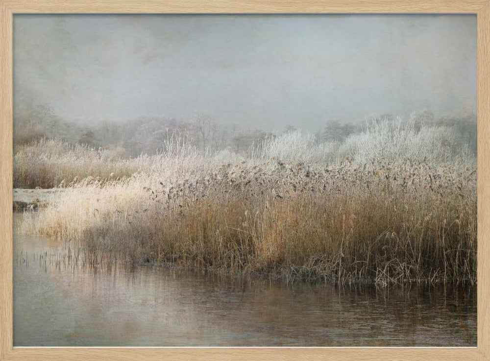 Wintermorning | Poster