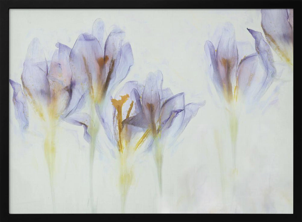 Spring | Poster