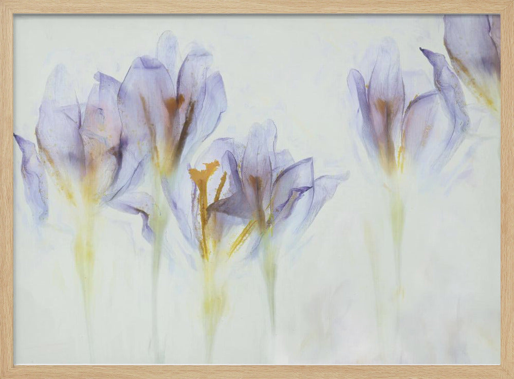Spring | Poster
