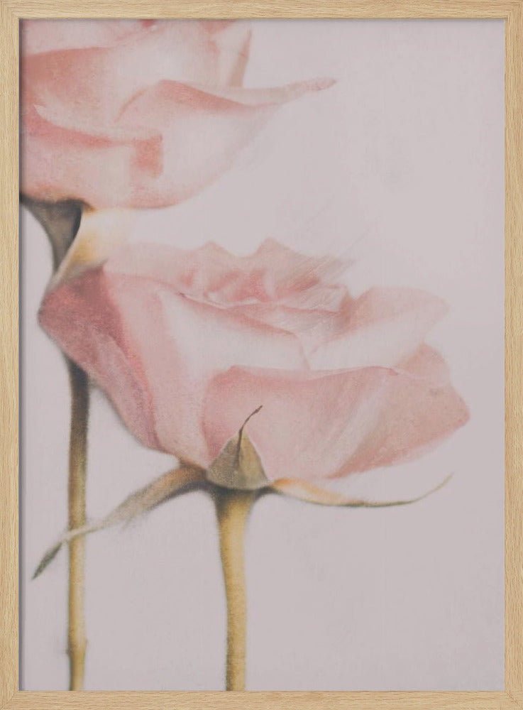 Two Roses | Poster