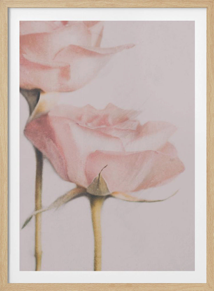 Two Roses | Poster