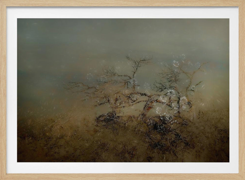 Old tree | Poster