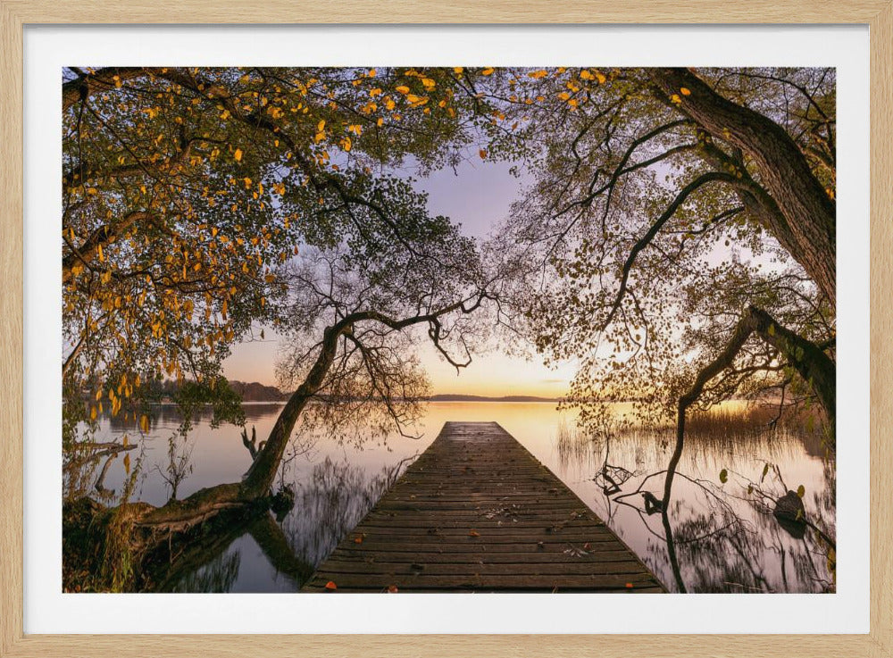Autumn | Poster