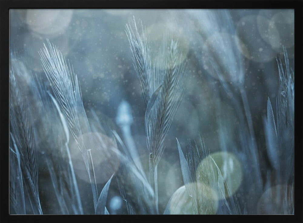 Fantastic Nature | Poster