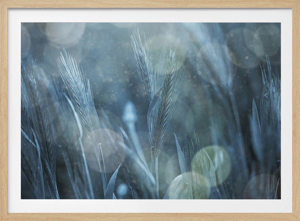 Fantastic Nature | Poster