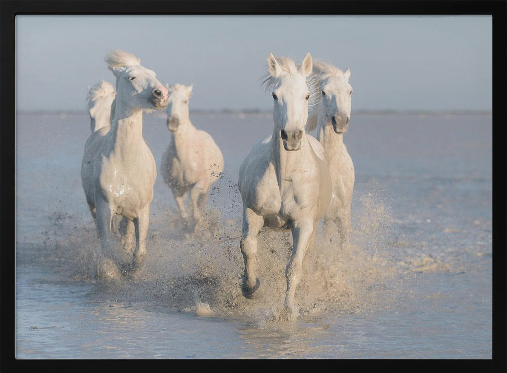 horses | Poster
