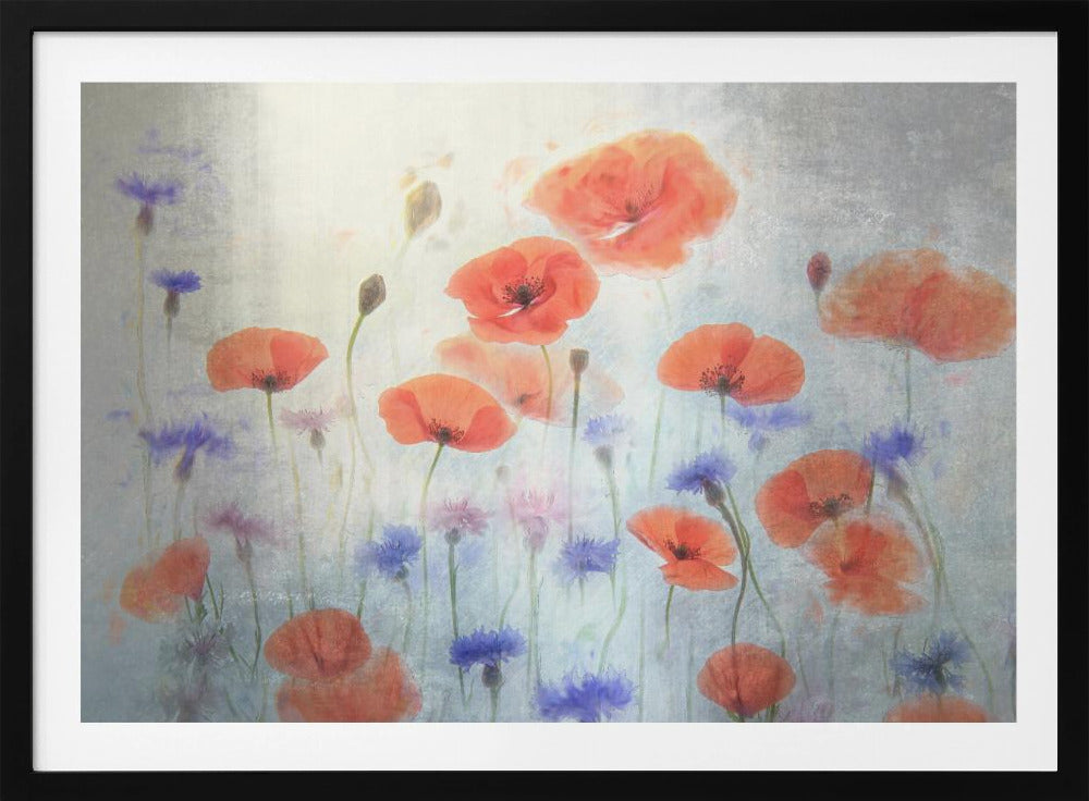 Poppy | Poster