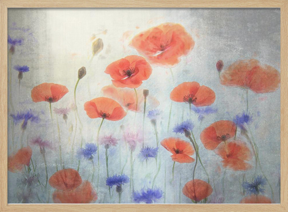 Poppy | Poster