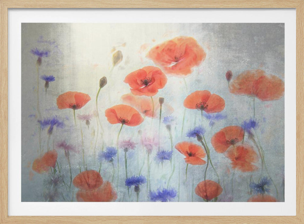 Poppy | Poster