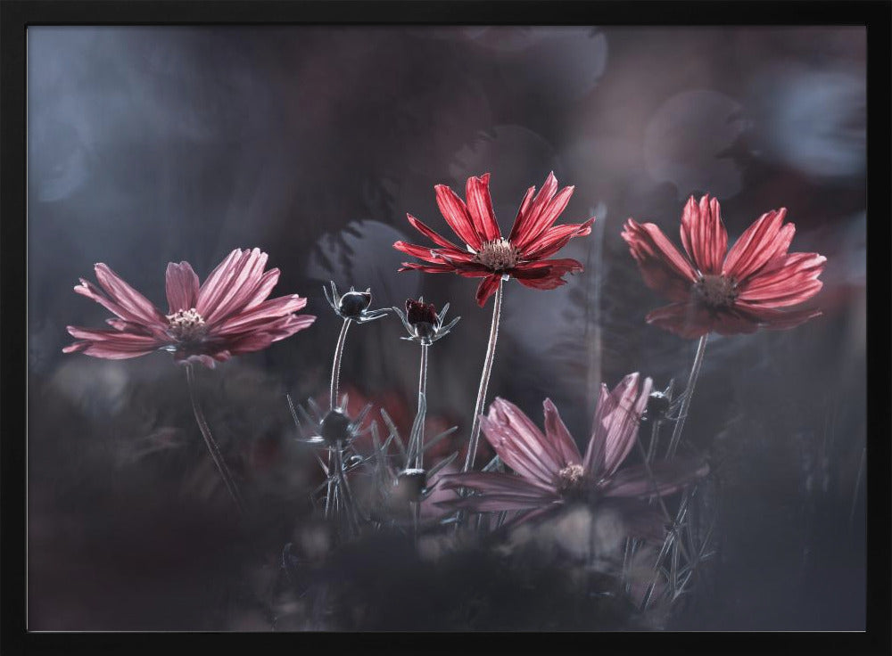 Les fleurs du Bien | Poster