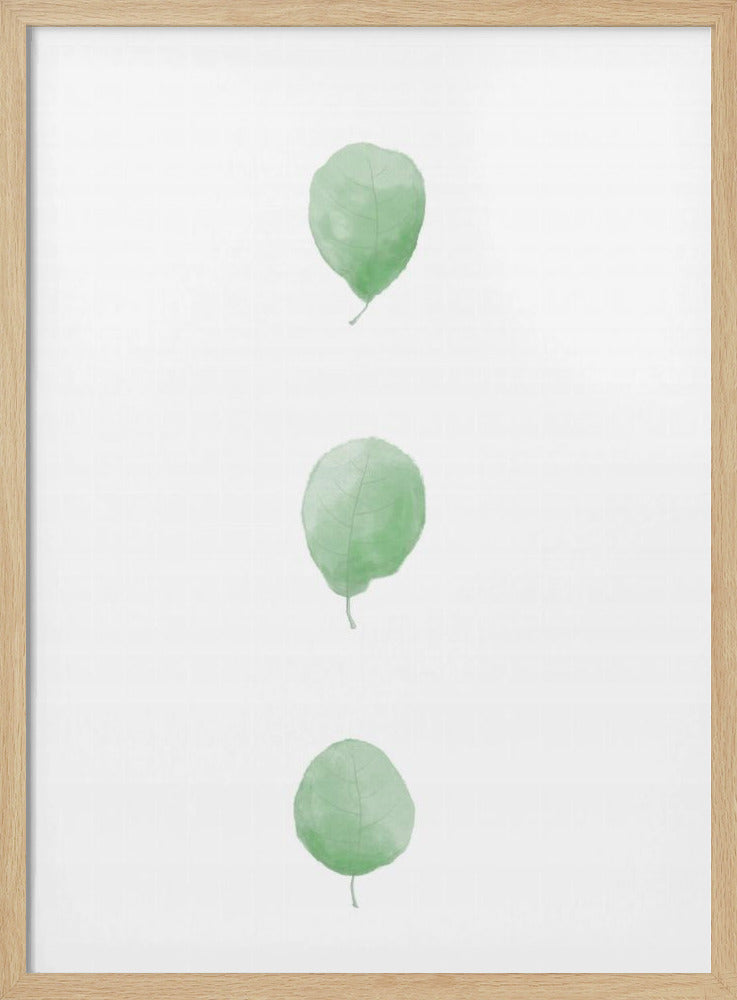 Birch Leaves in Row | Poster