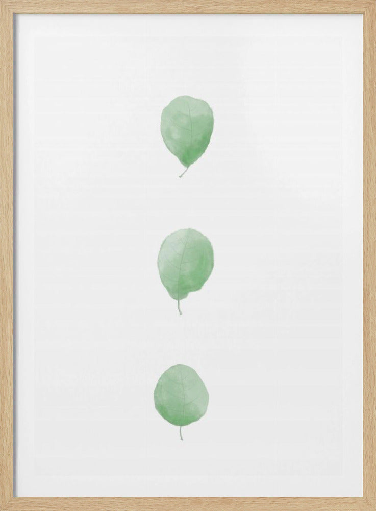 Birch Leaves in Row | Poster