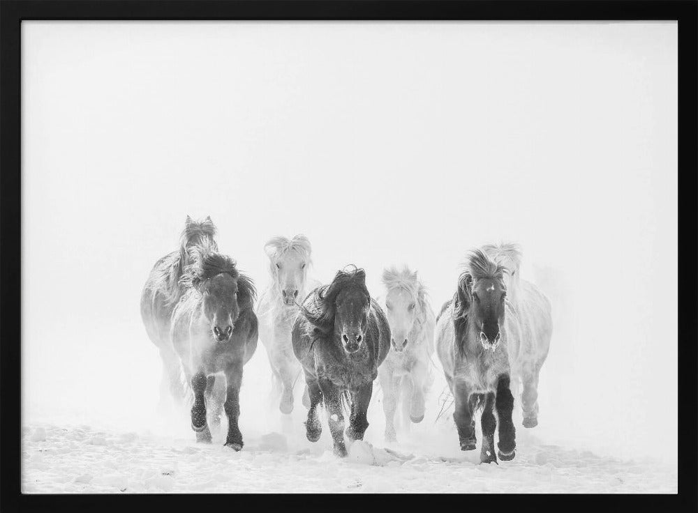 Running in the snow | Poster