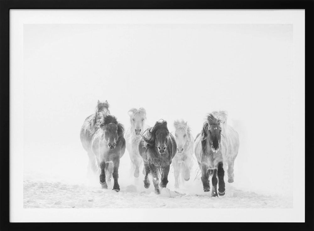 Running in the snow | Poster