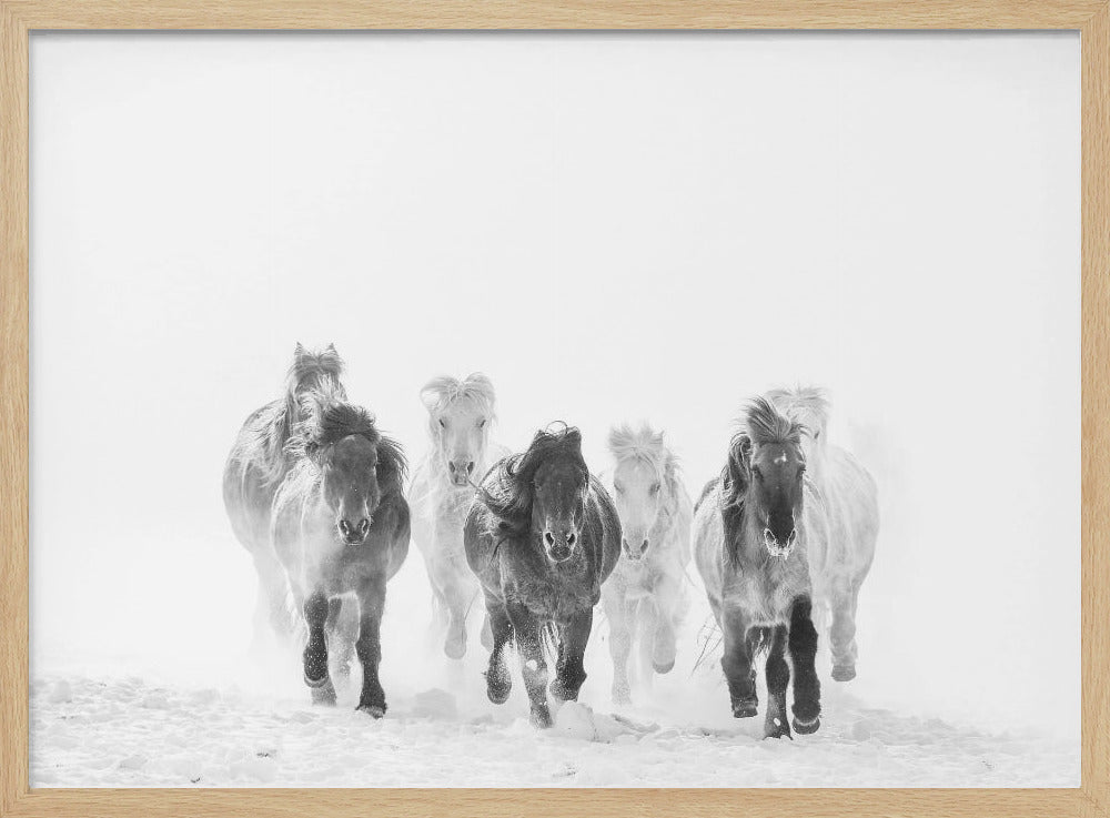 Running in the snow | Poster