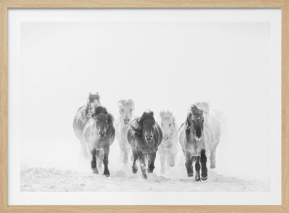Running in the snow | Poster