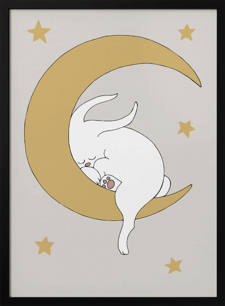 The Rabbit | Poster