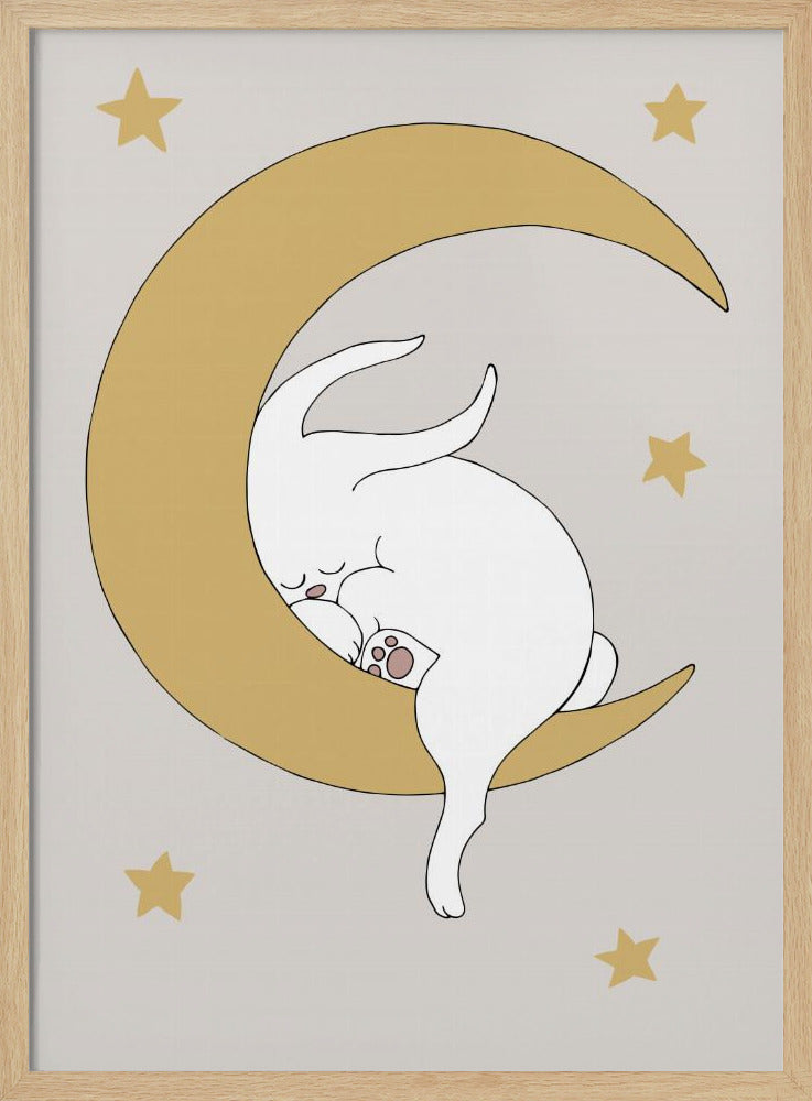 The Rabbit | Poster