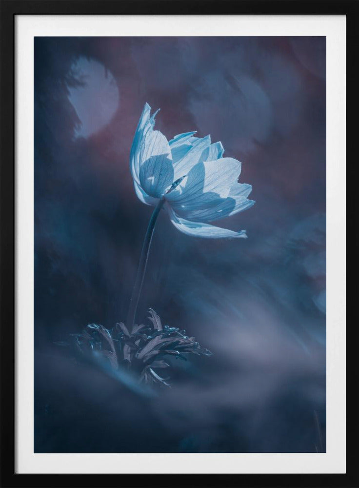 Dream on | Poster