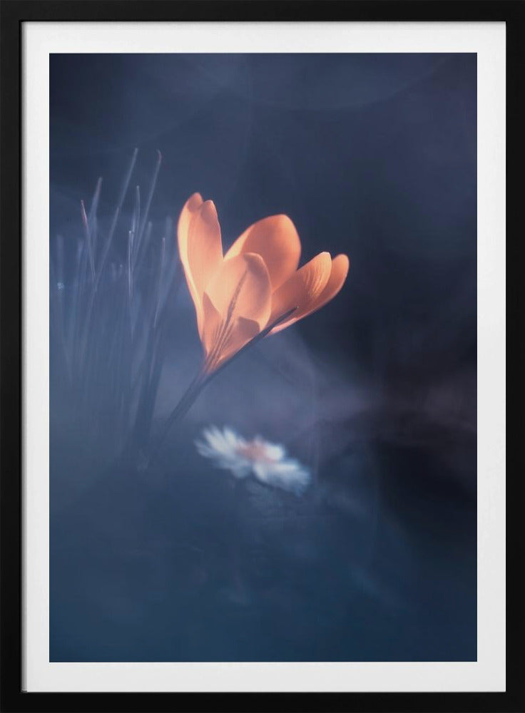 Upanishad | Poster