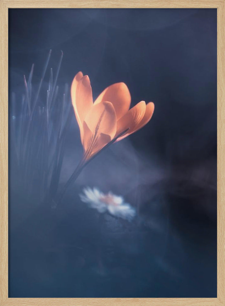 Upanishad | Poster