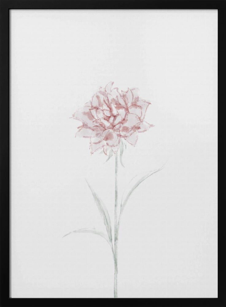 Peony 02 | Poster