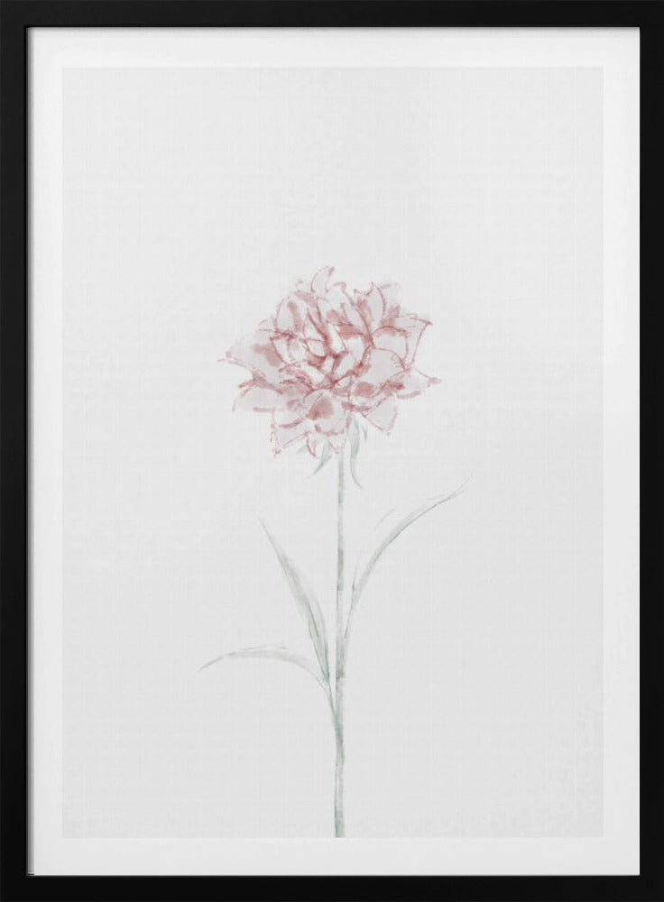 Peony 02 | Poster